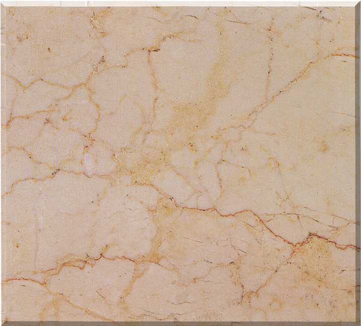 Anan Fossil